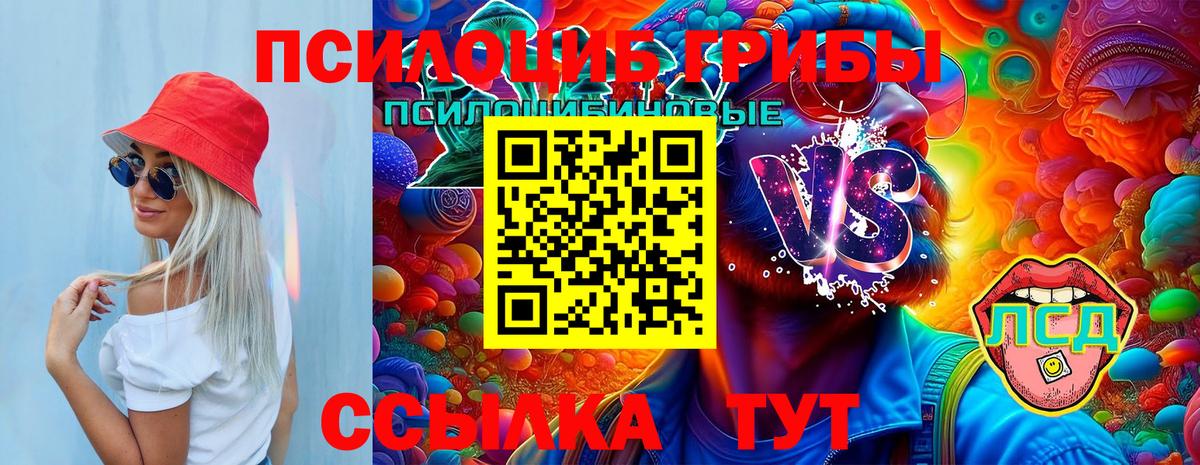 Галлюциногенные грибы прущие грибы  Вход с VPN  Новочебоксарск 